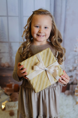 Bílo-zlatá vánoční scéna